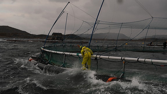 Bilde 4 av 5 i jobbannonse-galleriet