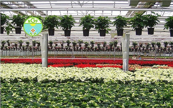 Bilde 2 av 6 i jobbannonse-galleriet