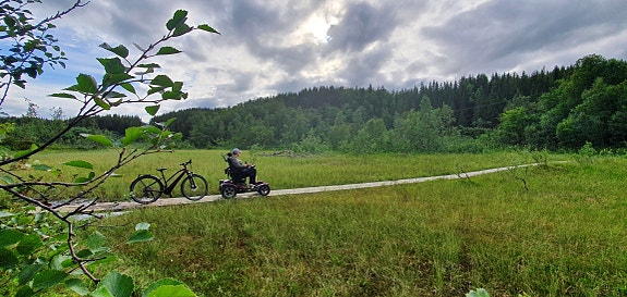 Bilde 1 av 1 i jobbannonse-galleriet