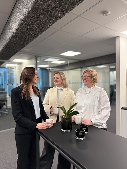 Bilde 1 av 2 i jobbannonse-galleriet