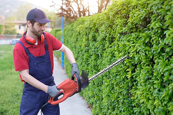 Bilde 3 av 8 i jobbannonse-galleriet