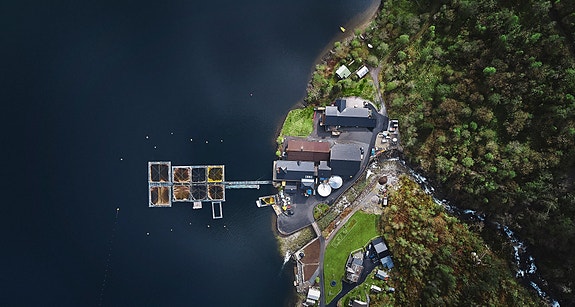 Bilde 4 av 4 i jobbannonse-galleriet