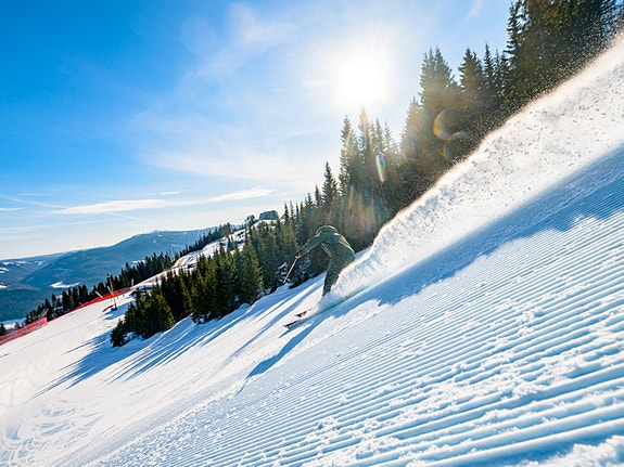 Bilde 3 av 3 i jobbannonse-galleriet