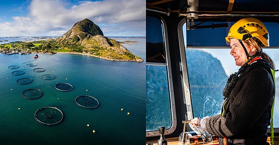 Bilde 1 av 3 i jobbannonse-galleriet