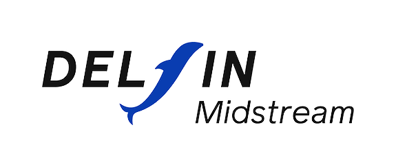 Delfin Norway AS logo