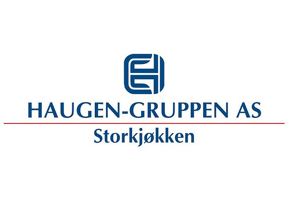 HAUGEN-GRUPPEN AS logo