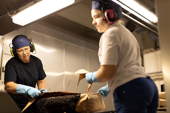 Bilde 7 av 8 i jobbannonse-galleriet