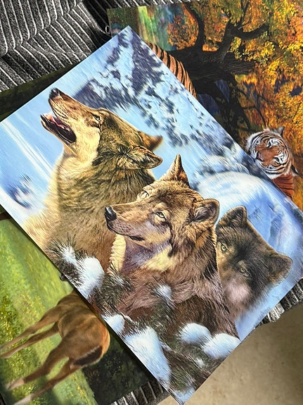 Product image 3 of 10