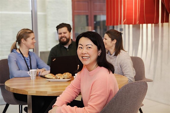 Bilde 1 av 1 i jobbannonse-galleriet