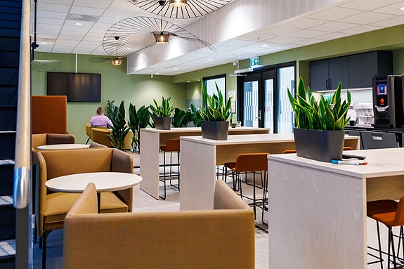 Bilde 2 av 3 i jobbannonse-galleriet