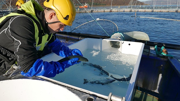 Bilde 1 av 3 i jobbannonse-galleriet