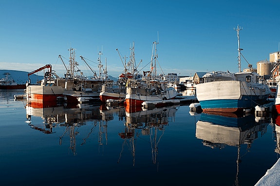 Bilde 4 av 5 i jobbannonse-galleriet