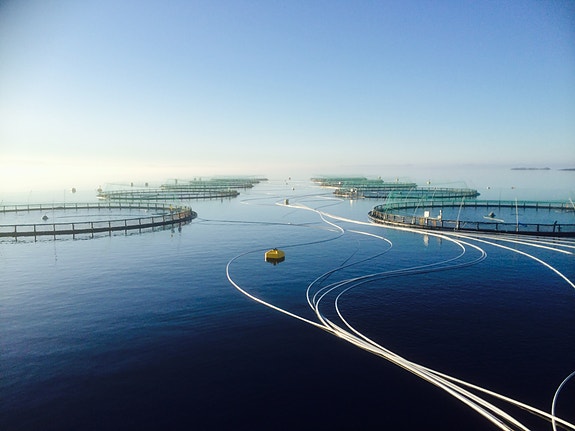 Bilde 4 av 6 i jobbannonse-galleriet