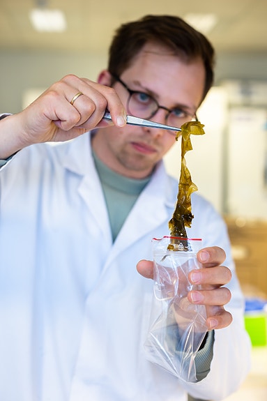 Bilde 2 av 4 i jobbannonse-galleriet