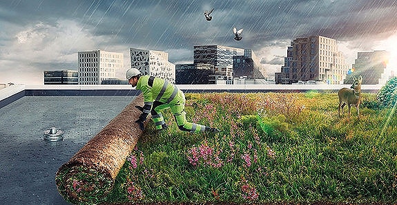 Bilde 1 av 3 i jobbannonse-galleriet