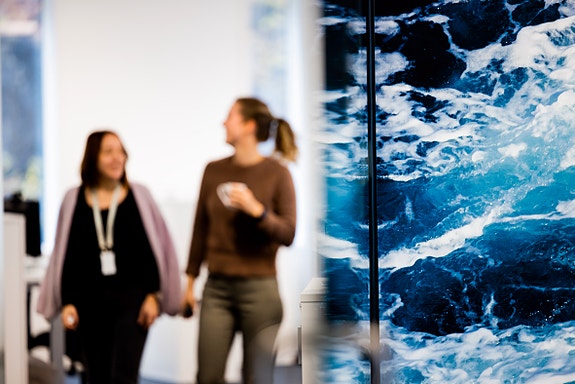 Bilde 4 av 10 i jobbannonse-galleriet