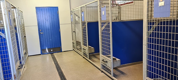 Kennel innvending, til sammen 47 plasser. alle med luke ut slik at hver hund har utebur under tak. Sklisikre gulv med varmekabler.