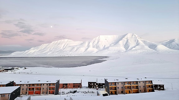 Bilde 2 av 3 i jobbannonse-galleriet