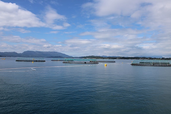 Bilde 2 av 8 i jobbannonse-galleriet