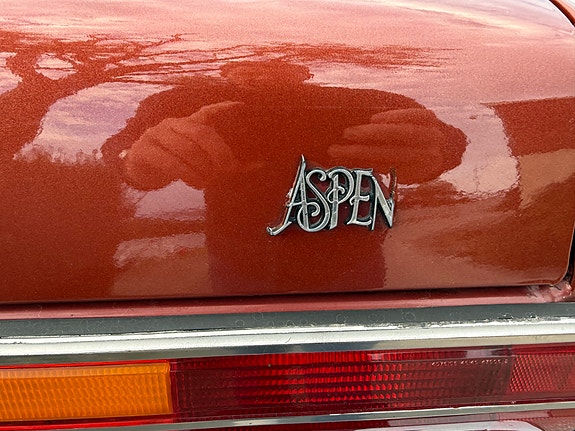 Dodge Andre 13 of 30