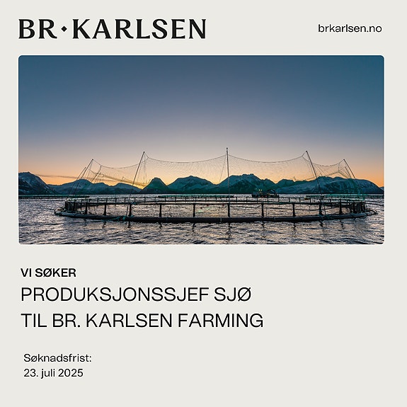 Bilde 1 av 3 i jobbannonse-galleriet