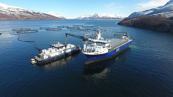 Bilde 1 av 1 i jobbannonse-galleriet