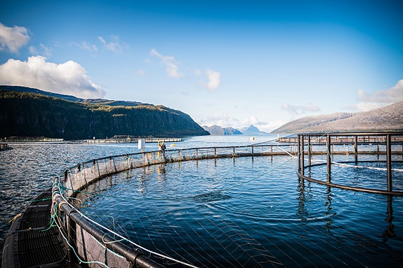 Bilde 1 av 4 i jobbannonse-galleriet