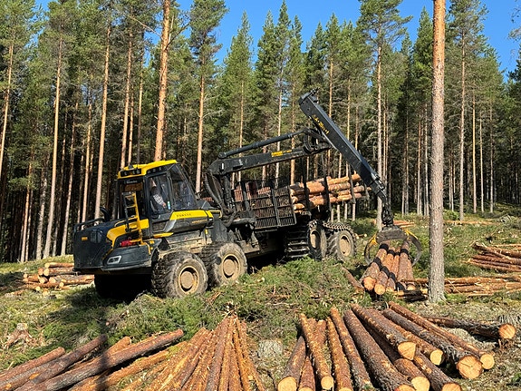 Bilde 1 av 6 i jobbannonse-galleriet