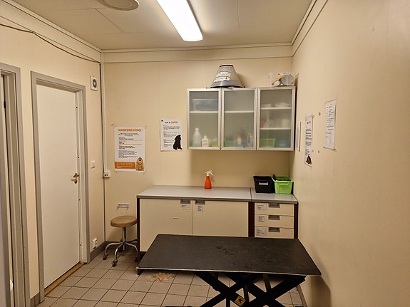 Stellerom Hundepensjonat