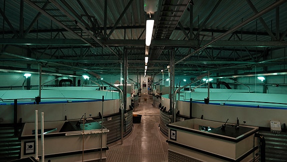 Bilde 2 av 6 i jobbannonse-galleriet