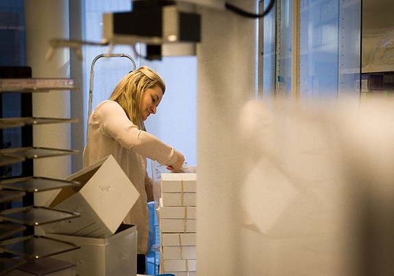 Bilde 6 av 7 i jobbannonse-galleriet