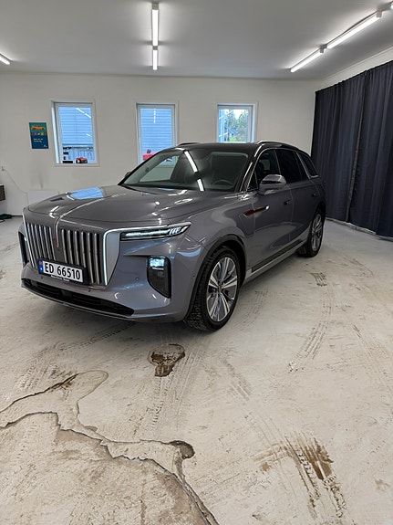 Hongqi E-HS9 7 of 21