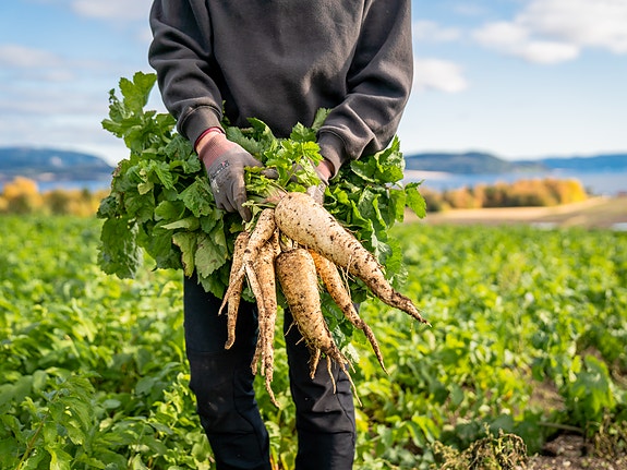 Bilde 2 av 8 i jobbannonse-galleriet