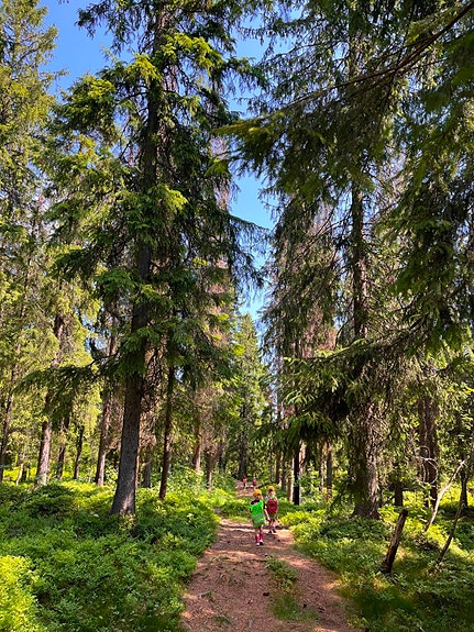Bilde 4 av 10 i jobbannonse-galleriet