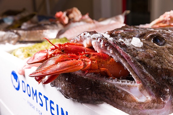 Bilde 1 av 1 i jobbannonse-galleriet