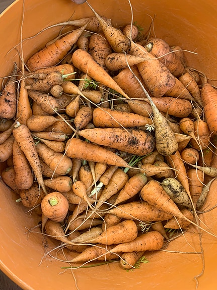 Bilde 5 av 6 i jobbannonse-galleriet