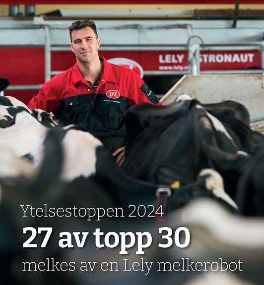 Bilde 5 av 7 i jobbannonse-galleriet