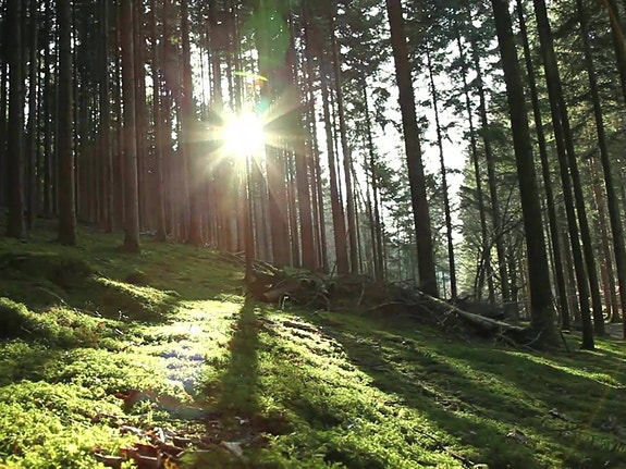 Bilde 2 av 2 i jobbannonse-galleriet