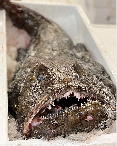 Bilde 4 av 6 i jobbannonse-galleriet