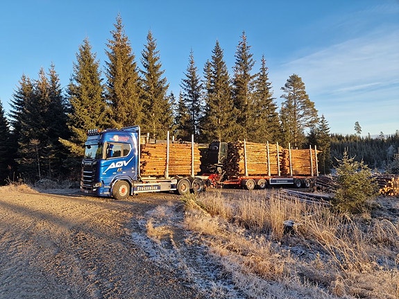 Bilde 1 av 6 i jobbannonse-galleriet