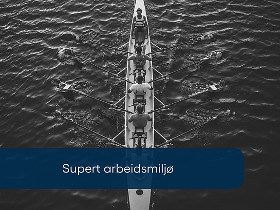 Bilde 3 av 7 i jobbannonse-galleriet