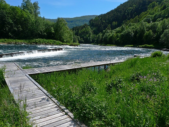 Bilde 3 av 4 i jobbannonse-galleriet