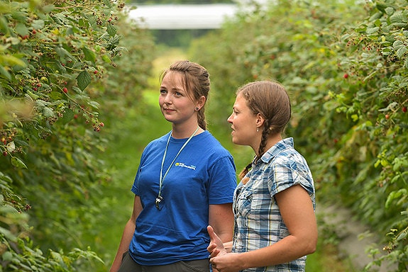 Bilde 3 av 6 i jobbannonse-galleriet