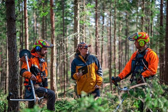 Bilde 1 av 1 i jobbannonse-galleriet