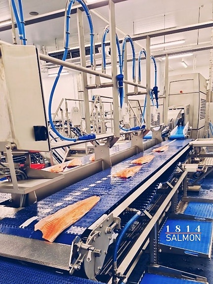 Bilde 1 av 2 i jobbannonse-galleriet