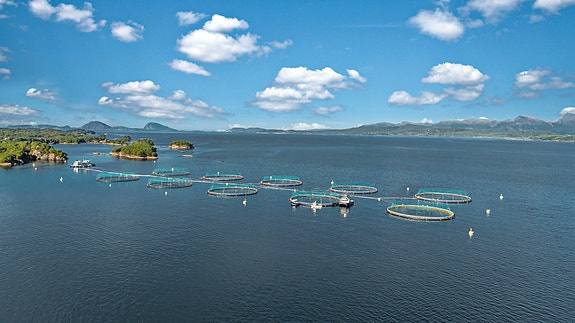 Bilde 1 av 4 i jobbannonse-galleriet