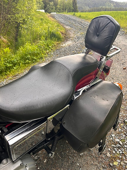 Harley-Davidson XL 883 Sportster 15 of 21