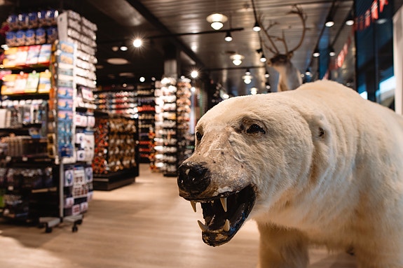 Bilde 1 av 2 i jobbannonse-galleriet