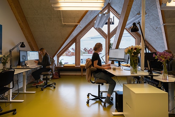 Bilde 1 av 4 i jobbannonse-galleriet