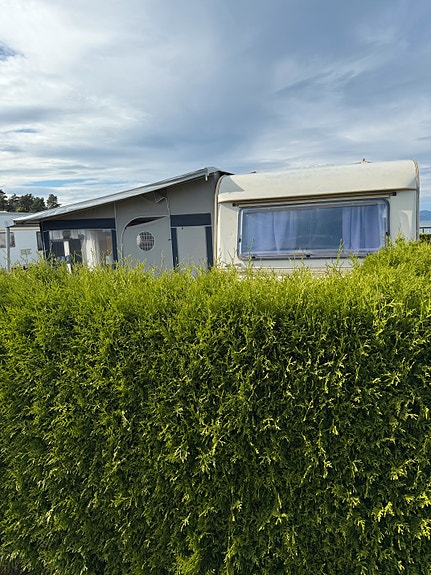 Tabbert Baronesse 680 Nes Camping Moss nedsatt pris 4 of 5